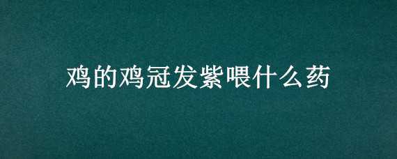 鸡的鸡冠发紫喂什么药 鸡冠发紫色是什么病吃什么药