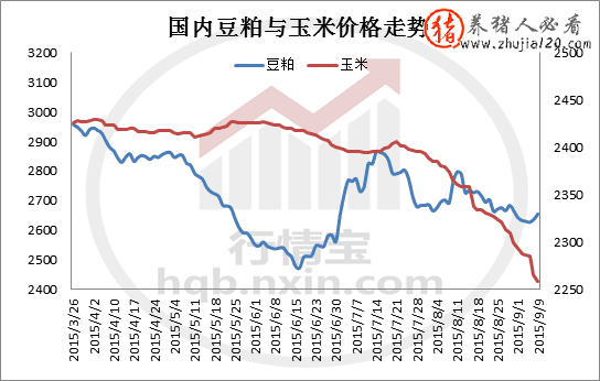 新旧玉米价格接轨（当前新玉米价格）