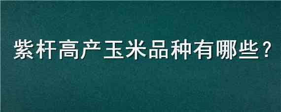 紫杆高产玉米品种有哪些