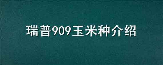 瑞普909玉米种介绍