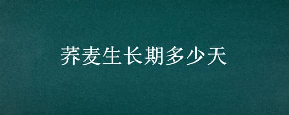 荞麦生长期多少天 东北荞麦生长期多少天