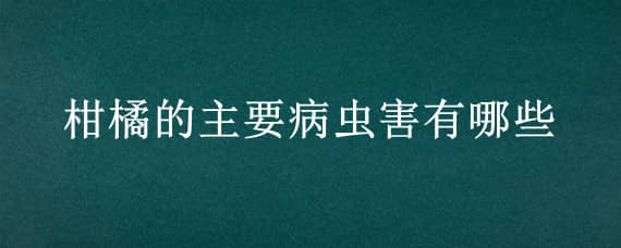 柑橘的主要病虫害有哪些