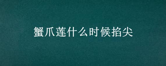 蟹爪莲什么时候掐尖 蟹爪兰多长时间