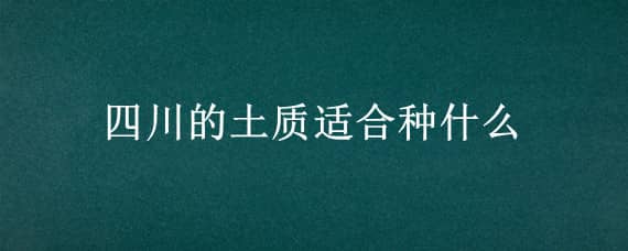 四川的土质适合种什么（四川土质适合种植什么）