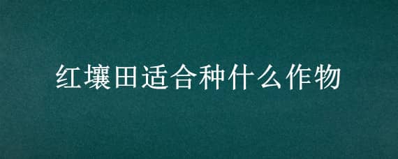 红壤田适合种什么作物（红土壤适合种植什么农作物）