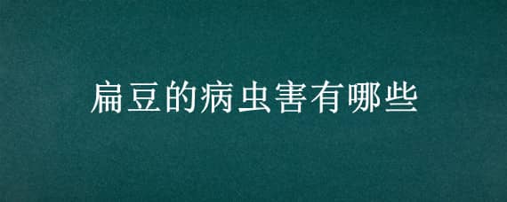 扁豆的病虫害有哪些