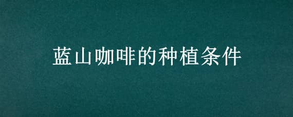 蓝山咖啡的种植条件