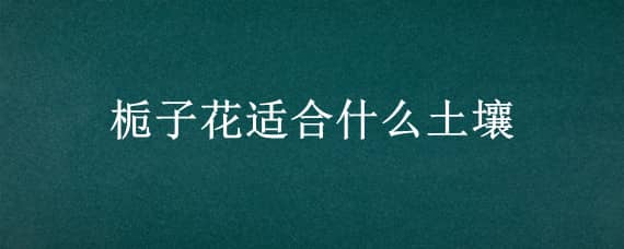 栀子花适合什么土壤