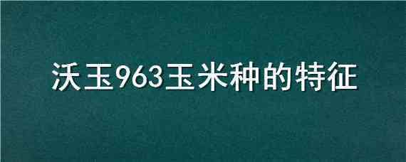 沃玉963玉米种的特征（沃玉963玉米品种）