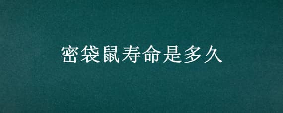 密袋鼠寿命是多久 袋鼠的寿命有几年