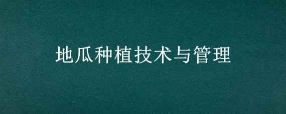 地瓜种植技术与管理 地瓜种植技术与管理视频