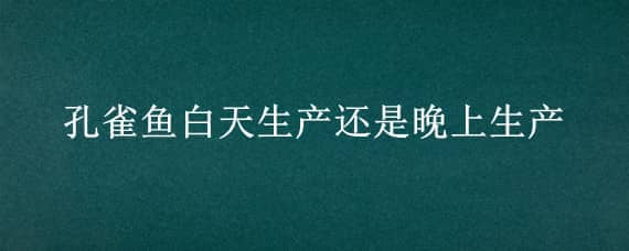 孔雀鱼白天生产还是晚上生产（孔雀鱼白天生产还是晚上生产好）