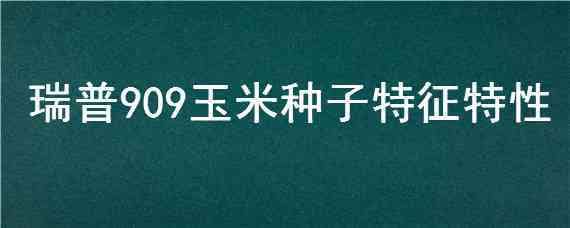 瑞普909玉米种子特征特性