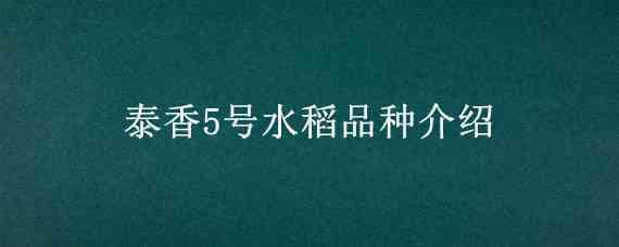 泰香5号水稻品种介绍（国泰香优2号水稻品种）