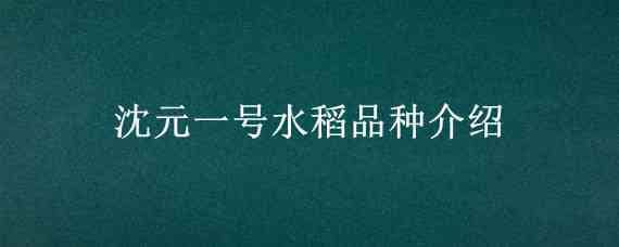 沈元一号水稻品种介绍（水稻沈农625品种）