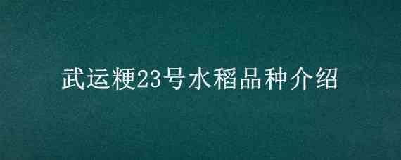 武运粳23号水稻品种介绍 武运粳31产量多少