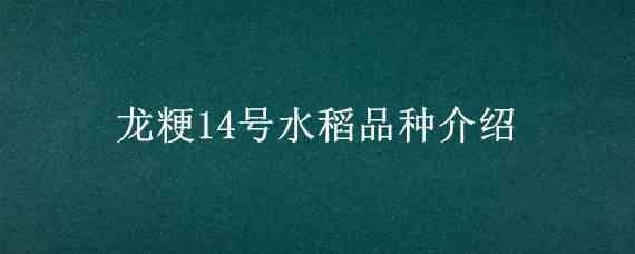 龙粳14号水稻品种介绍 龙粳1424水稻品种简介