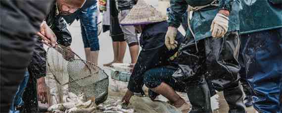 查干湖捕鱼怎么下网的