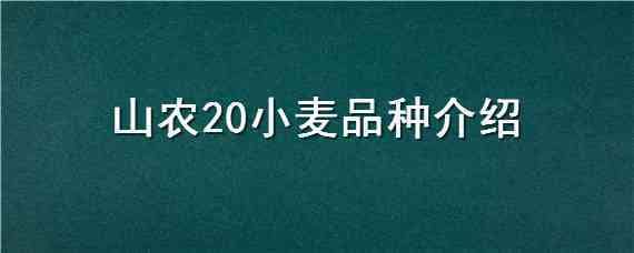 山农20小麦品种介绍（山农20小麦特征及产量）