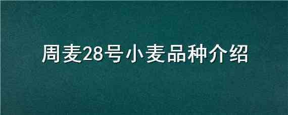 周麦28号小麦品种介绍（小麦新品种周麦40）