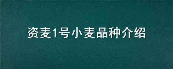 资麦1号小麦品种介绍