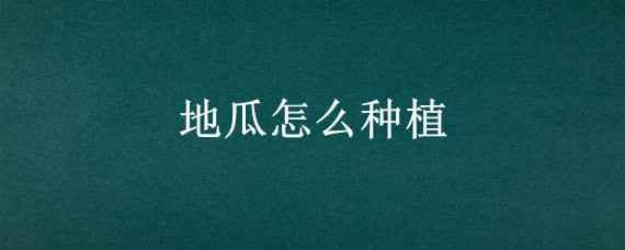 地瓜怎么种植（地瓜怎么种植方法如下怎么掐苗）