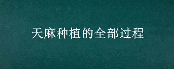 天麻种植的全部过程 天麻种植的全部过程图