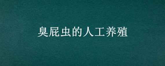 臭屁虫的人工养殖（臭屁虫可以人工养殖吗）