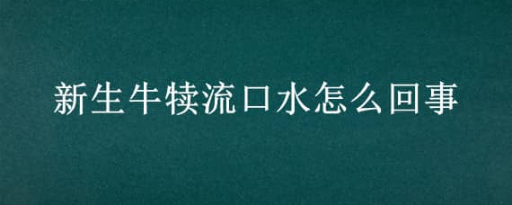 新生牛犊流口水怎么回事