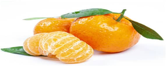 中国柑橘的经济栽培区集中在 中国柑橘的经济栽培区集中在北纬多少之间