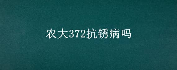 农大372抗锈病吗