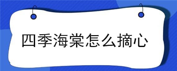 四季海棠怎么摘心（四季海棠怎么摘心视频）