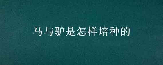 马与驴是怎样培种的 驴是怎么培种的