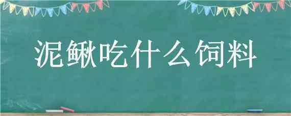 泥鳅吃什么饲料 泥鳅吃什么饲料最好