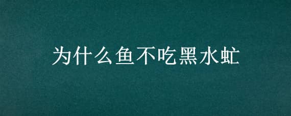 为什么鱼不吃黑水虻 用黑水虻喂鱼鱼长得快