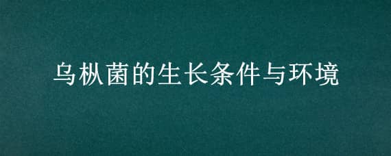 乌枞菌的生长条件与环境 鸡枞菌的生长环境