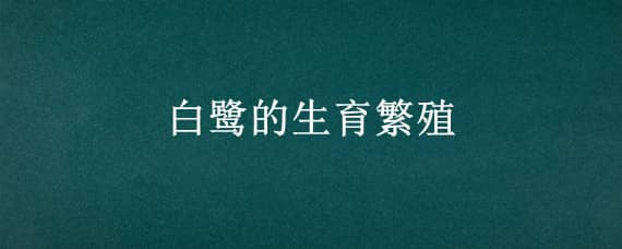 白鹭的生育繁殖 白鹭的,繁殖