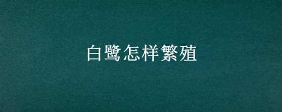 白鹭怎样繁殖