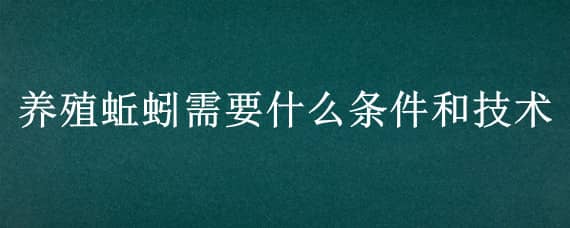 养殖蚯蚓需要什么条件和技术