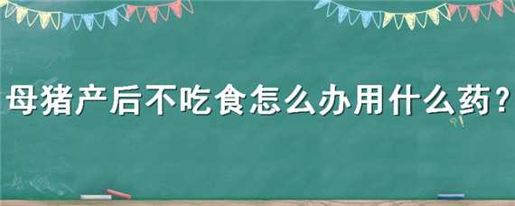 母猪产后不吃食怎么办用什么药（老母猪产后不吃食用什么药好）