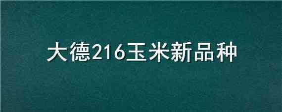 大德216玉米新品种 大德216玉米种子