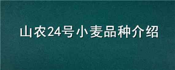 山农24号小麦品种介绍 山农24号小麦品种好不好