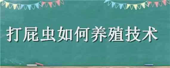 打屁虫如何养殖技术