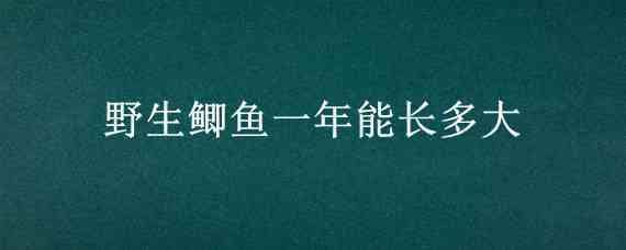 野生鲫鱼一年能长多大（野生鲫鱼长到一斤大要几年）