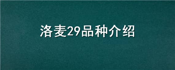 洛麦29品种介绍