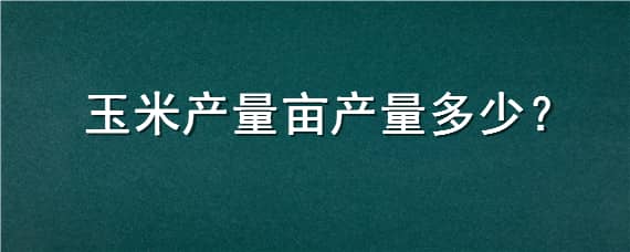 玉米产量亩产量多少（玉米亩产量是多少）