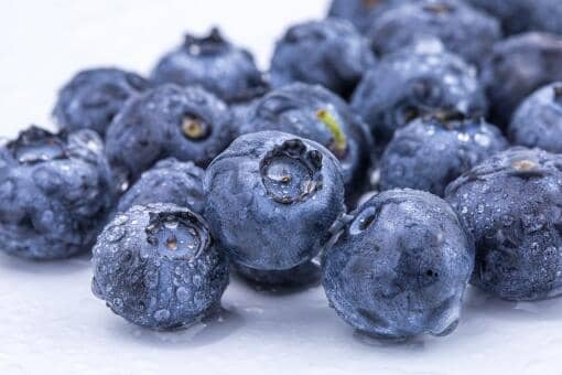 蓝莓适宜生长的土壤环境PH在什么范围 蓝莓对土壤的温度有什么要求