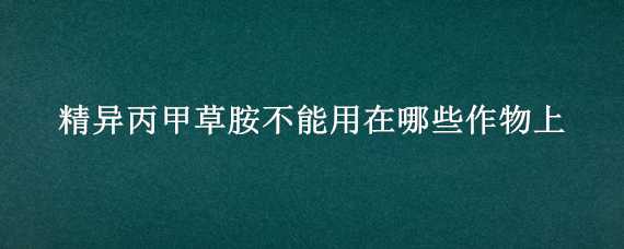 精异丙甲草胺不能用在哪些作物上（精异丙甲草胺不能用在哪些作物上面）