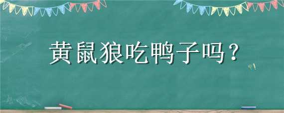 黄鼠狼吃鸭子吗（黄鼠狼吃鸭子吗视频）