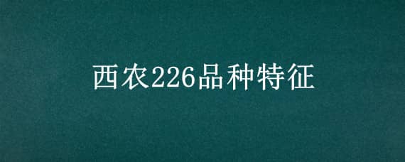 西农226品种特征 西农226产量